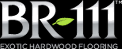 BR-111 logo